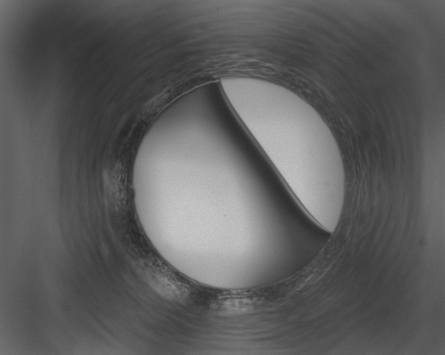 X0000084540228200702230917