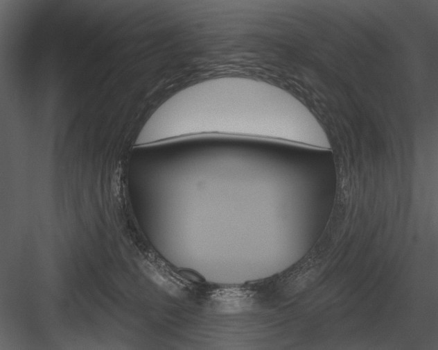 X0000084540231200702230917