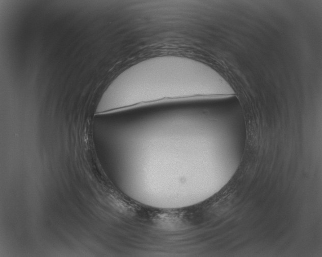 X0000084540232200702230917