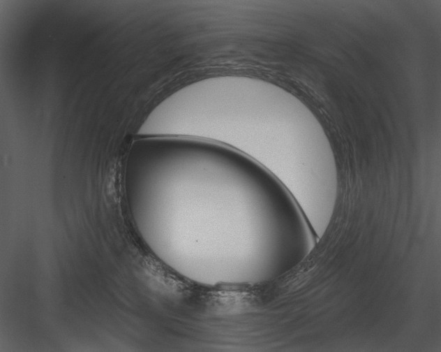 X0000084540233200702230917