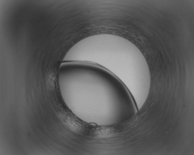 X0000084540235200702230917