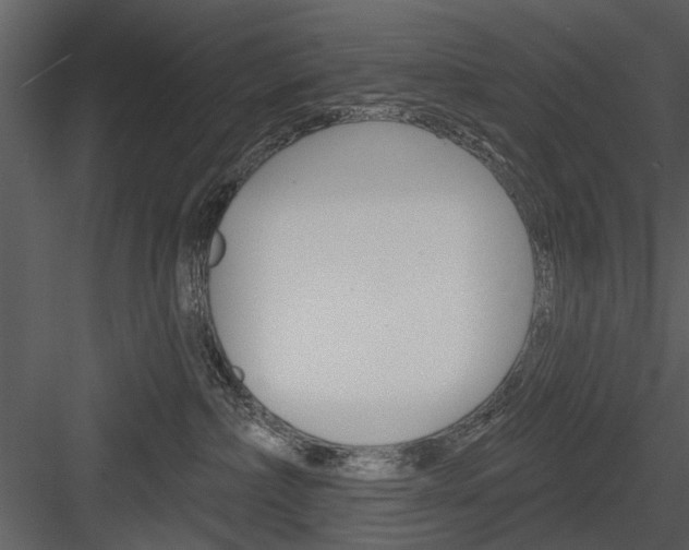 X0000084540236200702230917