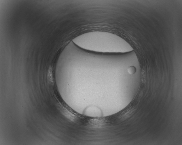 X0000084540238200702230917
