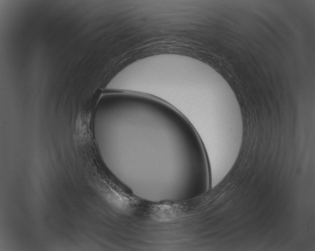 X0000084540239200702230917
