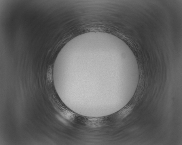 X0000084540240200702230917