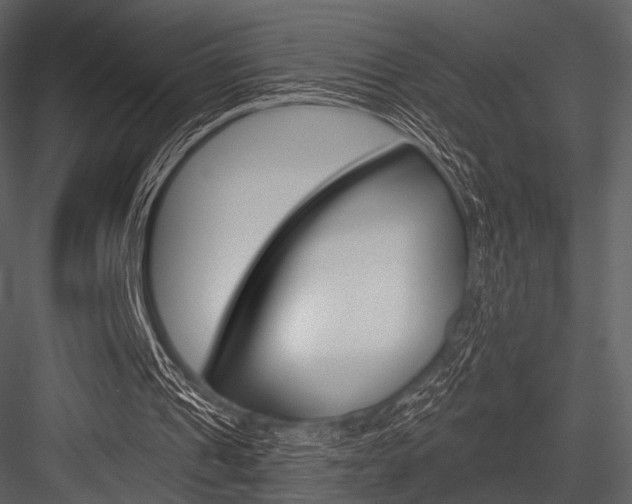 X0000084540241200702230916