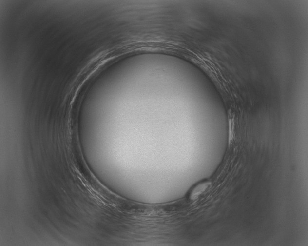 X0000084540243200702230916