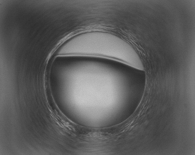 X0000084540244200702230916