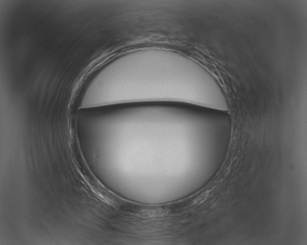 X0000084540245200702230916