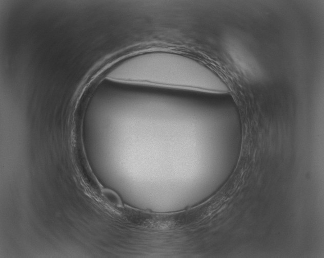 X0000084540247200702230916