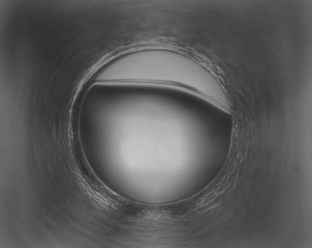X0000084540248200702230916