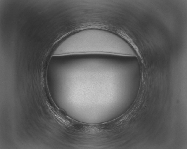 X0000084540249200702230916