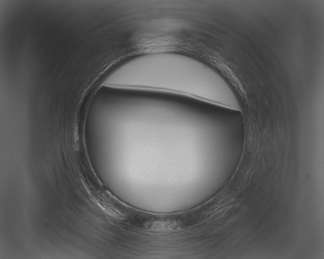 X0000084540251200702230916