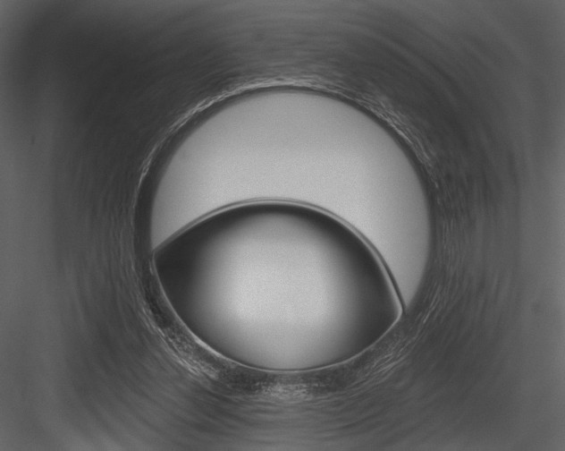 X0000084540252200702230916