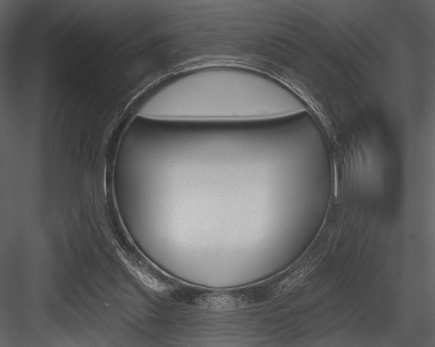 X0000084540253200702230916