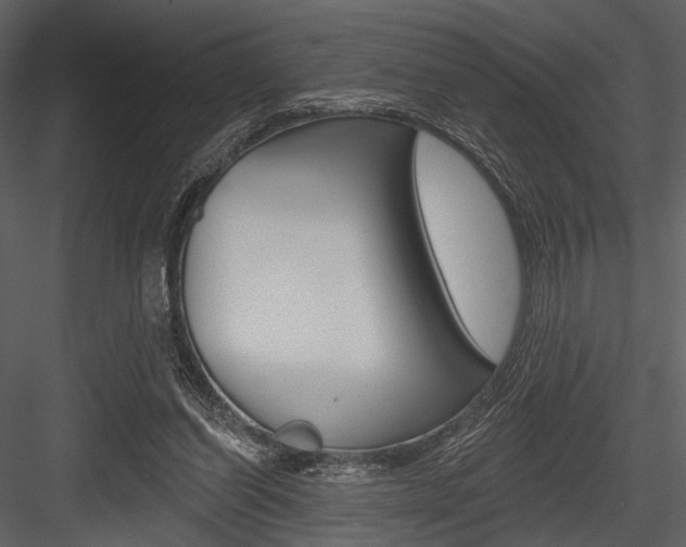 X0000084540254200702230916