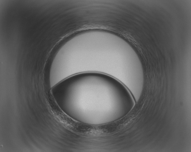 X0000084540256200702230916