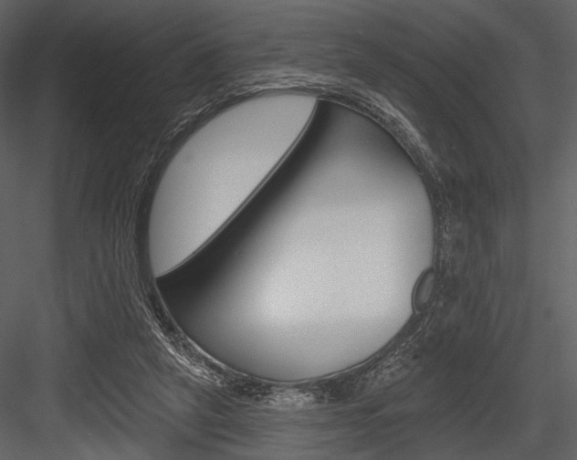 X0000084540257200702230916