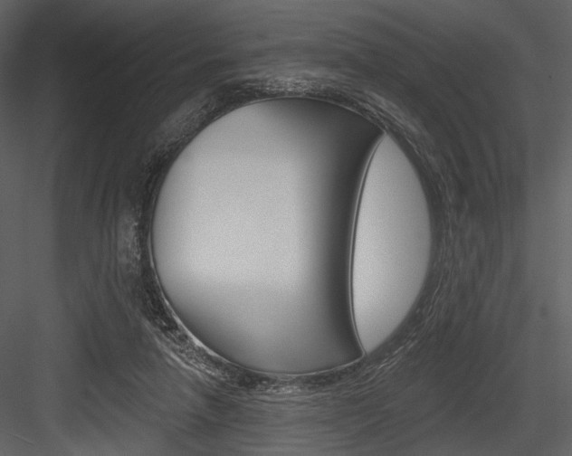 X0000084540258200702230916
