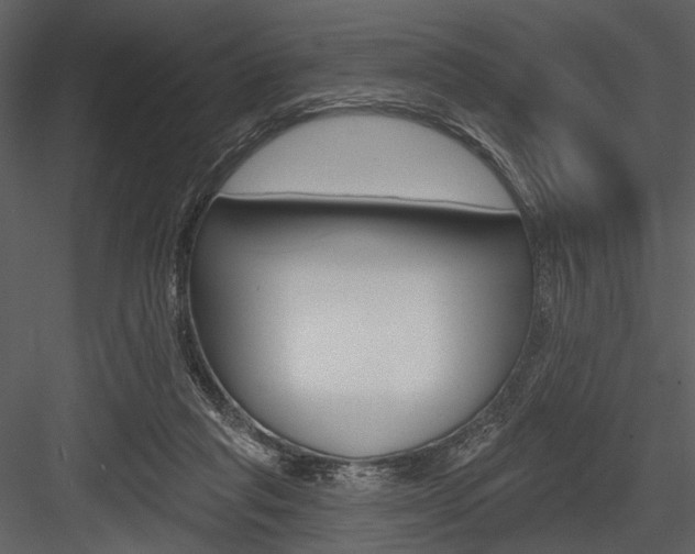 X0000084540261200702230916