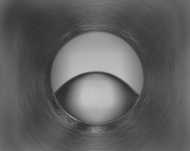 X0000084540264200702230916