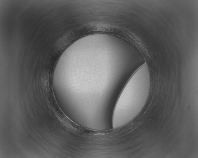 X0000084540265200702230916