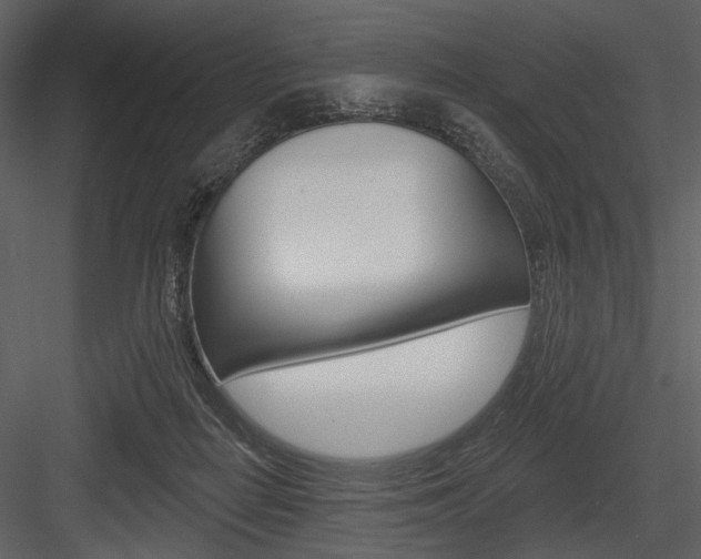 X0000084540266200702230916