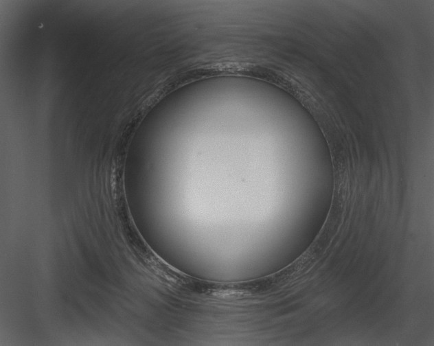 X0000084540268200702230916