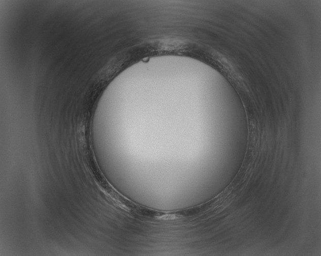 X0000084540269200702230916