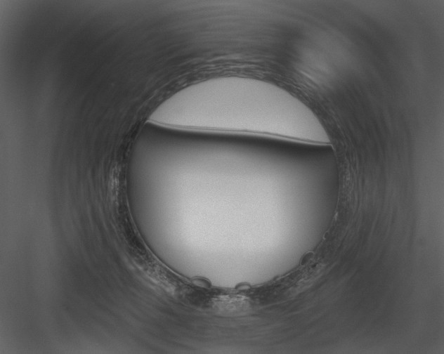 X0000084540271200702230916