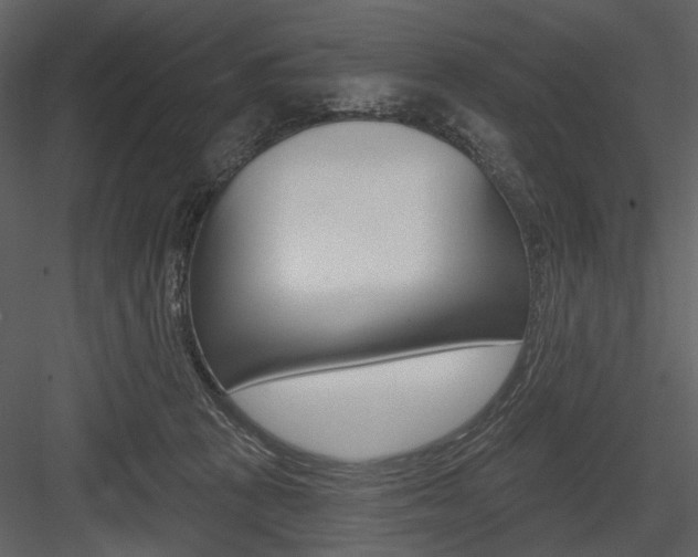 X0000084540273200702230916