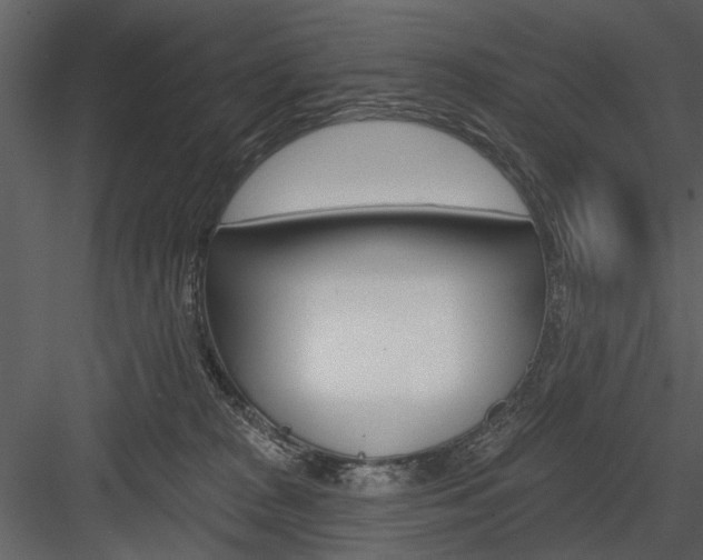 X0000084540277200702230916