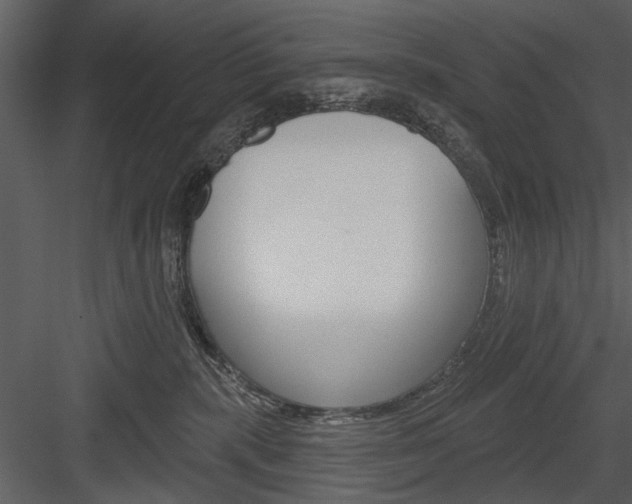X0000084540283200702230916