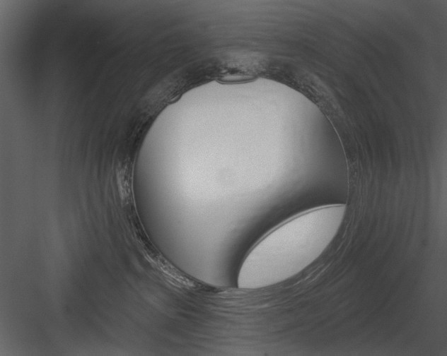 X0000084540285200702230916