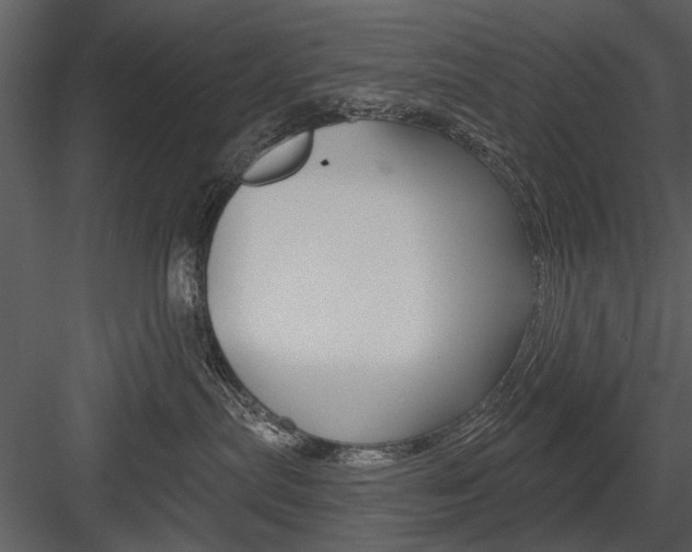 X0000084540287200702230916