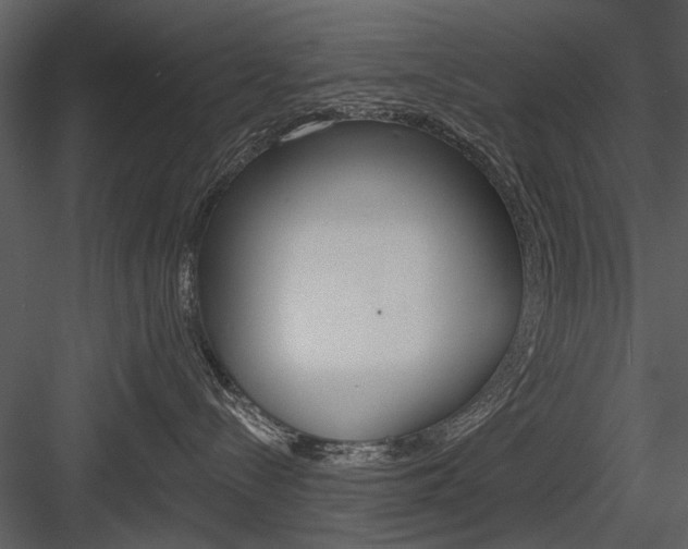 X0000084540288200702230917