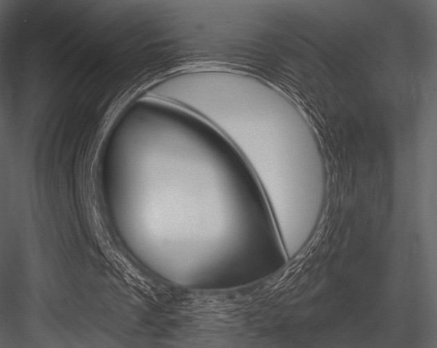 X0000084540289200702230916