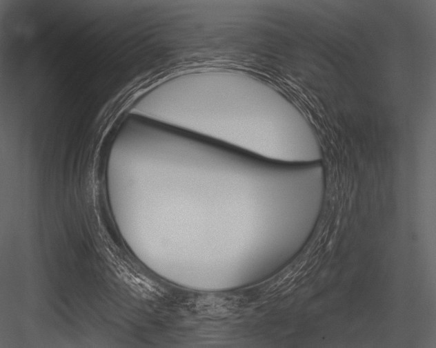 X0000084540290200702230916