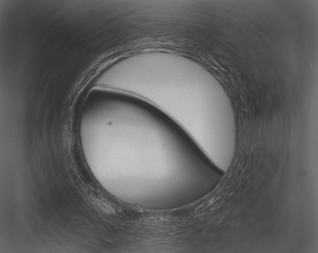X0000084540291200702230916