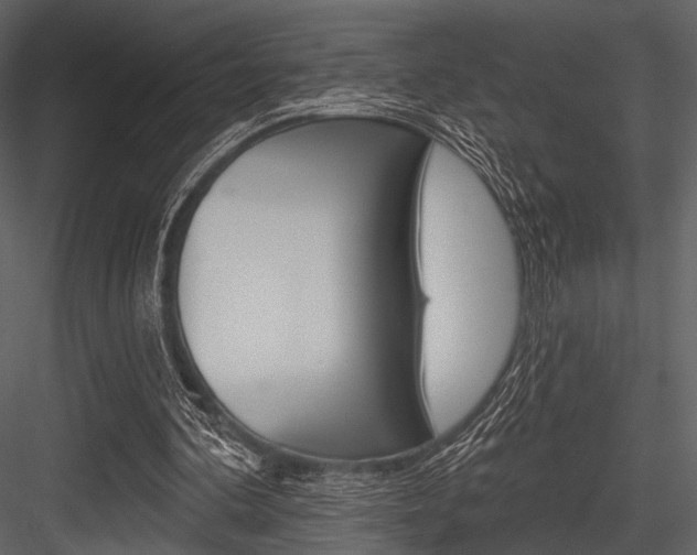 X0000084540292200702230916