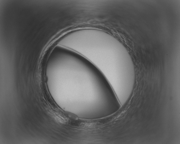 X0000084540295200702230916