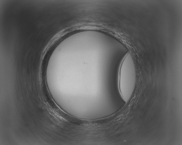 X0000084540296200702230916