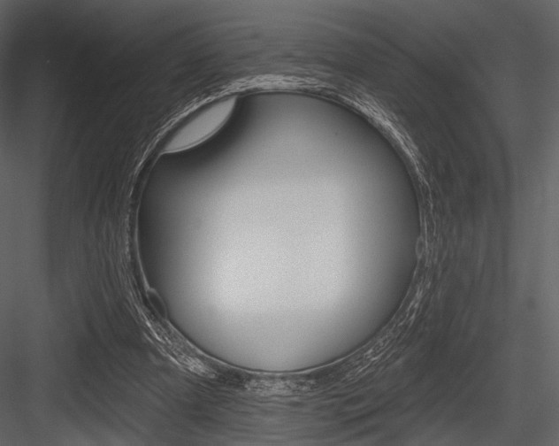 X0000084540297200702230916