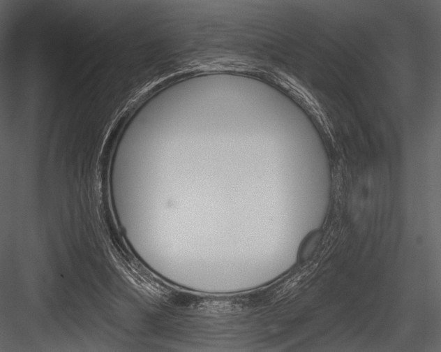 X0000084540298200702230916