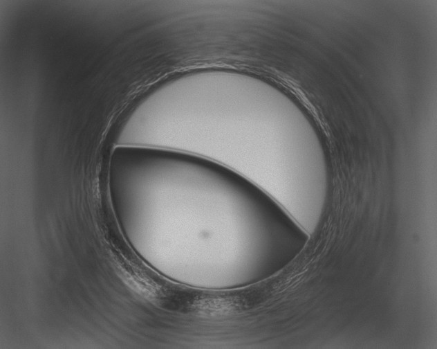 X0000084540299200702230916
