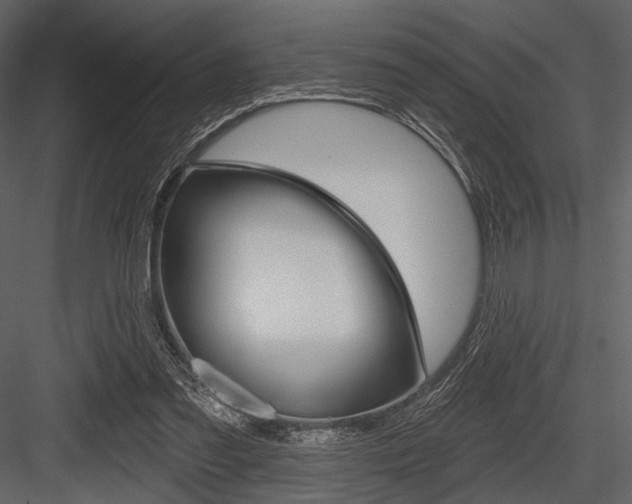 X0000084540301200702230915