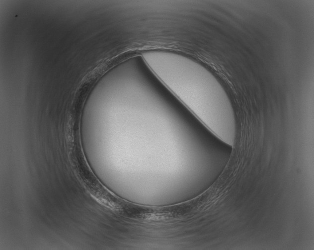 X0000084540303200702230915