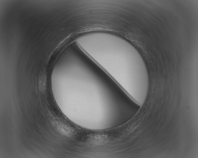 X0000084540304200702230915