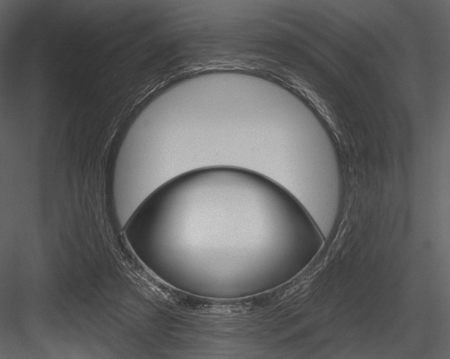 X0000084540305200702230915