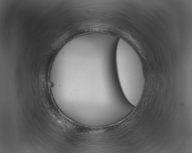 X0000084540306200702230915